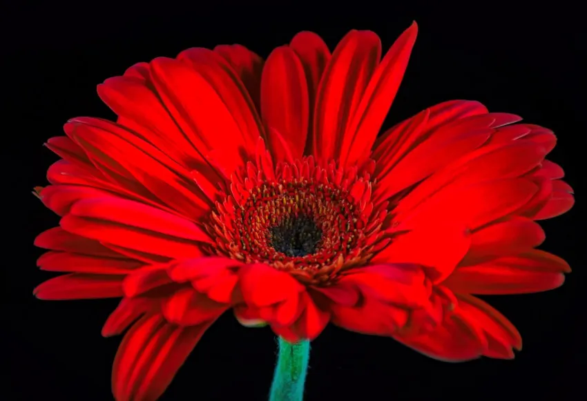 Heartbreak anniversary lyrics that capture pain and healing