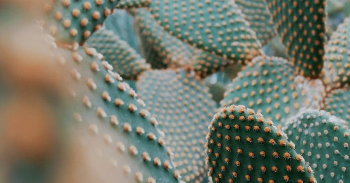 10 tips for a successful and lasting marriage