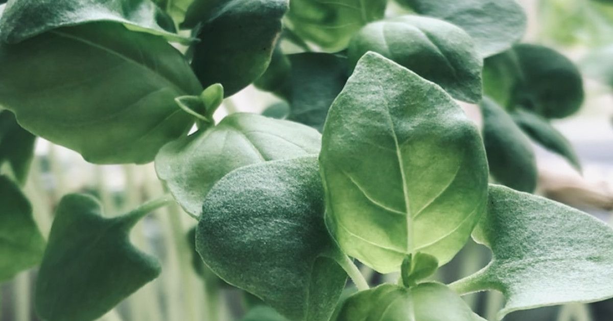 16 irresistible anniversary gift ideas for him and her