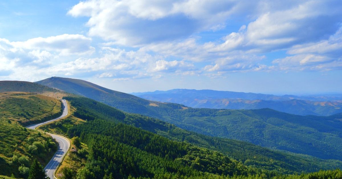 Heartwarming anniversary quotes to celebrate your special journey.