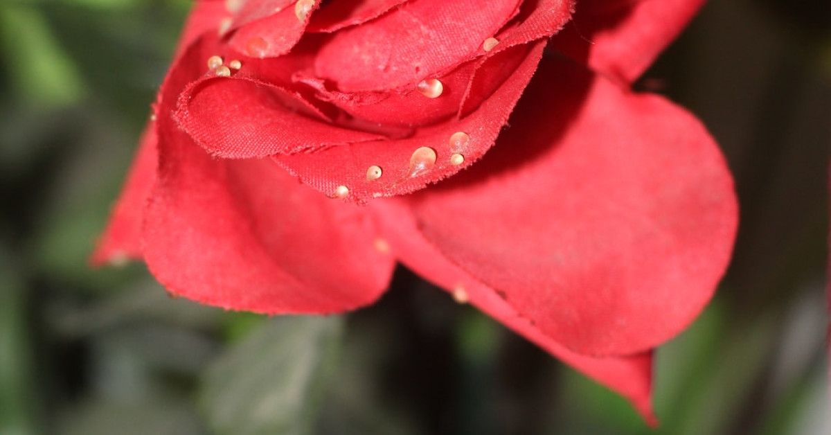 36 unique anniversary gift ideas to celebrate your milestone