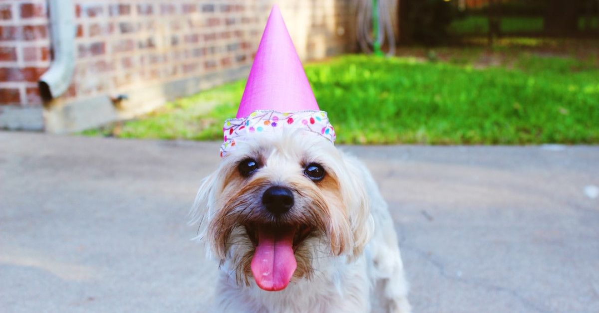 38 Memorable Anniversary Gift Ideas - Show Your Love