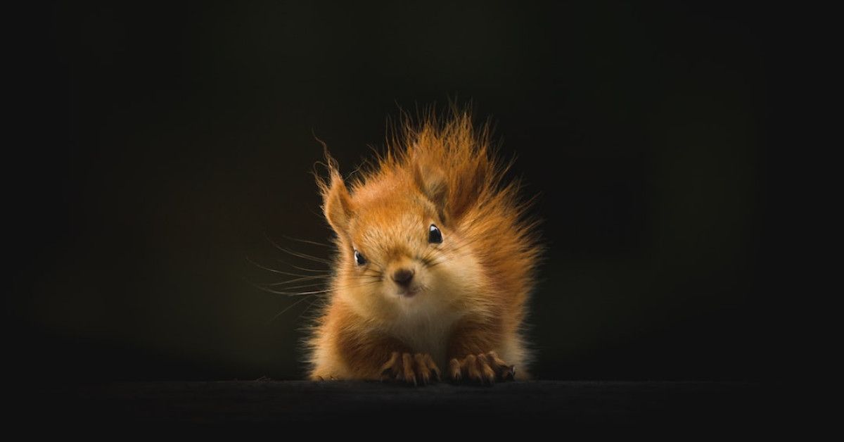 Humorous anniversary cards spreading laughter and love - image