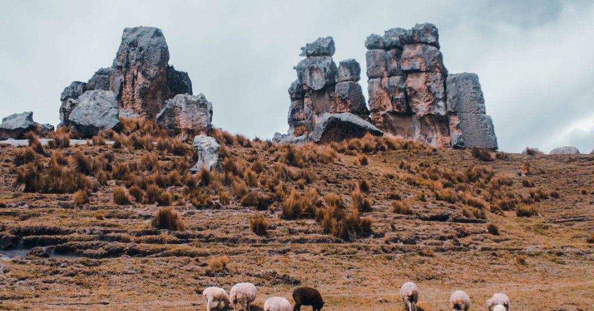 Golden Memories: 50 Best Wedding Anniversary Gifts - Icerik Planla