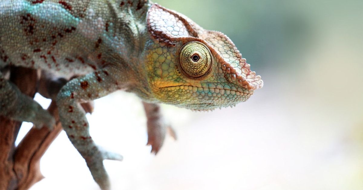 Ultimate guide to 10th wedding anniversary gifts - Celebrating love