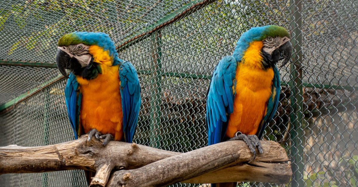 Unforgettable 18 Year Anniversary Gifts | Celebrate with Love